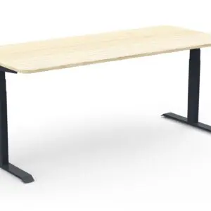 Ergonomic Sit-Stand Desk SALVA